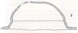 Buckel Ac Zeichnung Seitenansicht Haithabu Bericht 08 Seite 51 Abb 2 Buckel Ac Zeichnung Seitenansicht Haithabu Bericht 08 Seite 51 Abb 2
