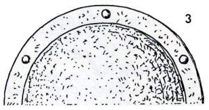 Buckel Zeichnung Draufsicht Haithabu Bericht 12 Seite 54 Abb 3 Buckel Zeichnung Draufsicht Haithabu Bericht 12 Seite 54 Abb 3