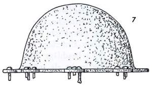 Buckel Zeichnung Seitenansicht Haithabu Bericht 12 Seite 54 Abb 7 Buckel Zeichnung Seitenansicht Haithabu Bericht 12 Seite 54 Abb 7