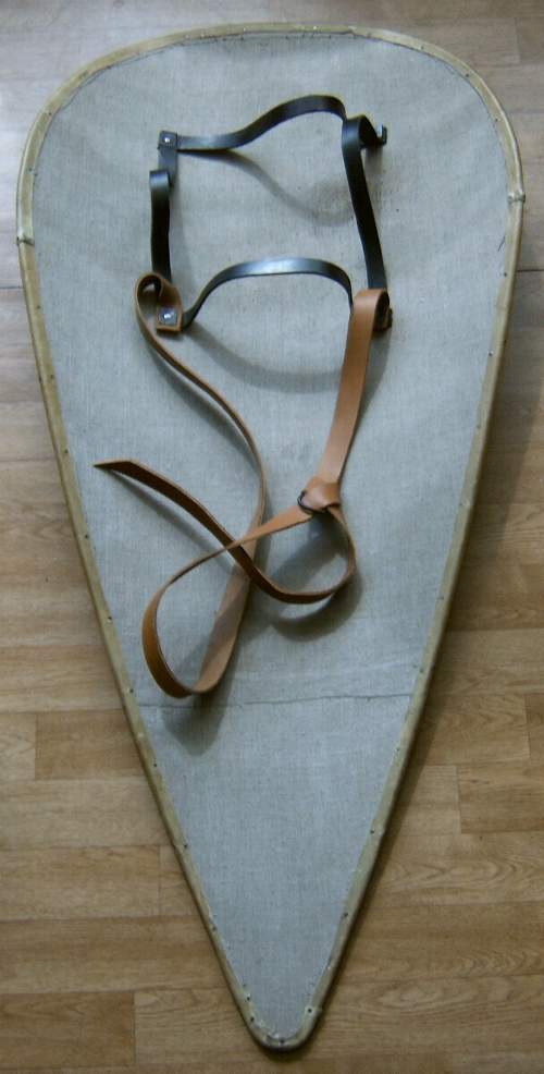 Kiteschild von hinten